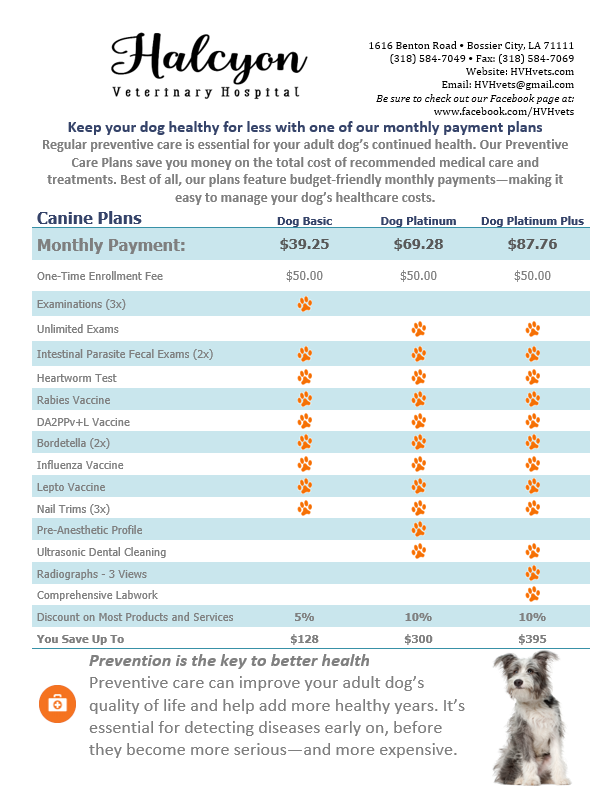 adult-senior-dog-plans